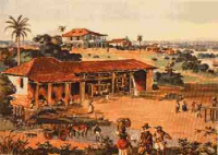 /album/a-historia-do-trabalho-escravo/o-trabalho-livre-na-america-portuguesa-png1/